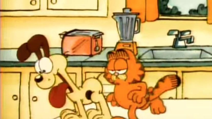 Garfield and Friends Cartton