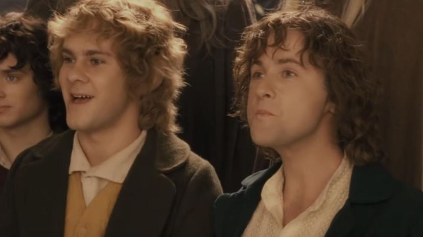 Merry and Pippin