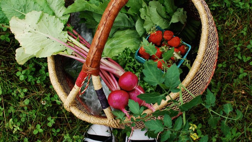 Farmer's basket