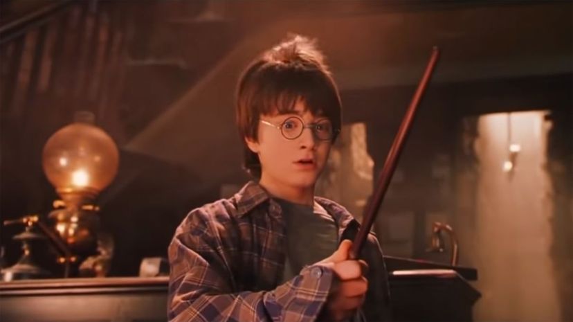 Harry buys first wand