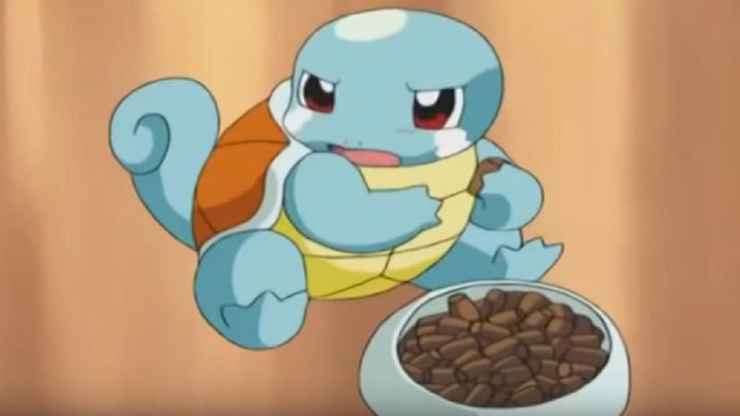 squirtle