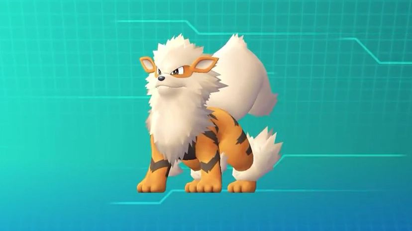 Arcanine