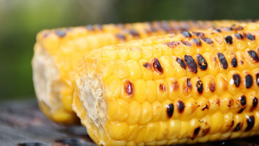 Grilled Sweet Corn on the Cob