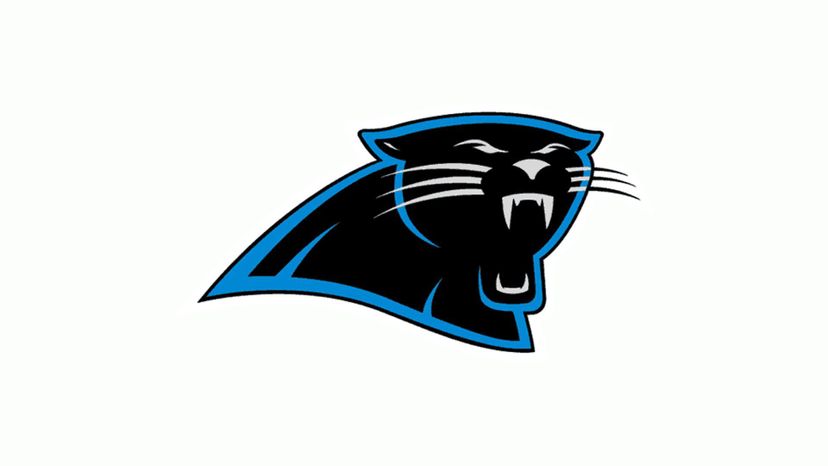 Carolina Panthers 95-11