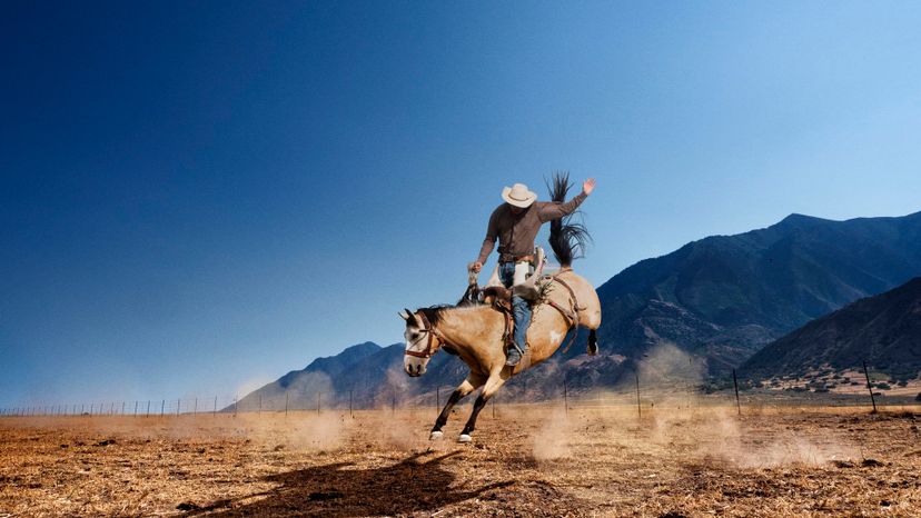 Can You Translate These Rodeo Slang Terms?