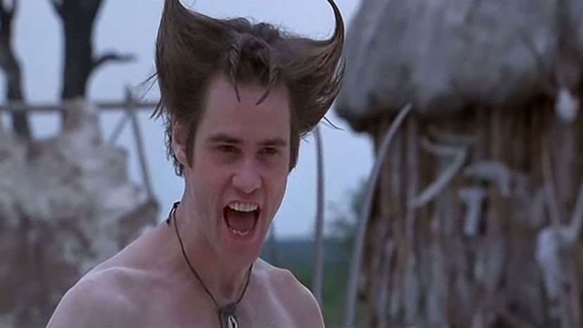 Ace Ventura (Jim Carrey)