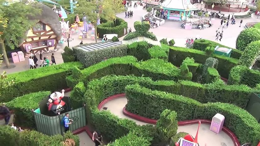 Aliceâ€™s Curious Labyrinth (Disneyland Paris)