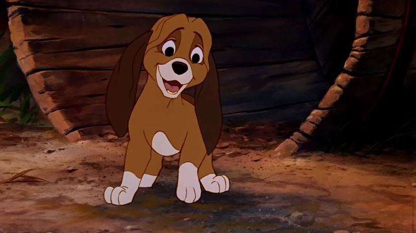 The Fox and the Hound 1981 - Copper