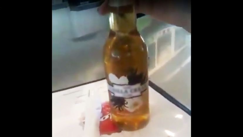 WBC Goose Island Vanilla Cream Soda