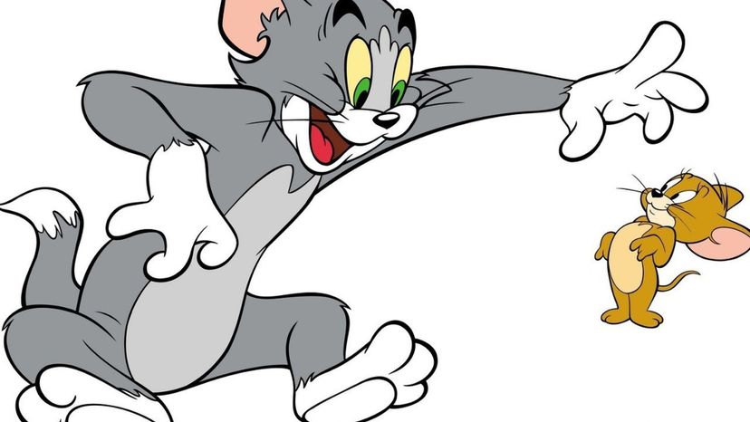 Tom from Tom &amp; Jerry