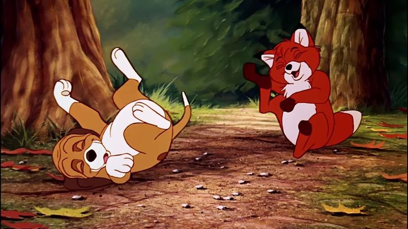 The Fox and the Hound (1981)