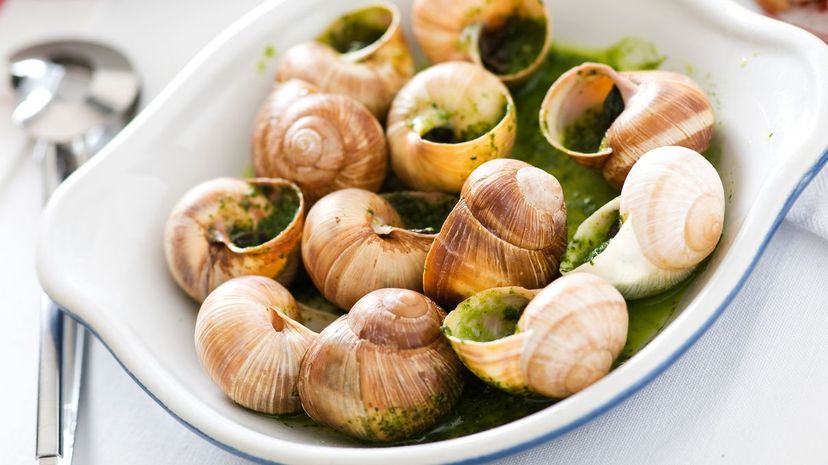 1-Escargot