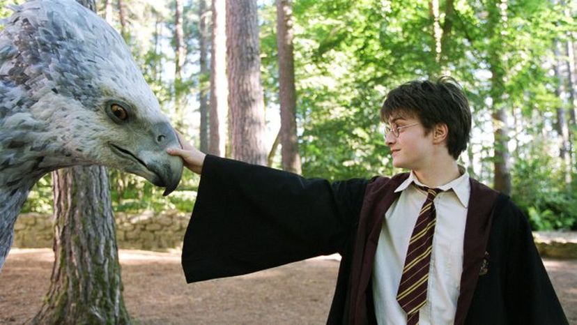 Which Creature from Harry Potter are You?