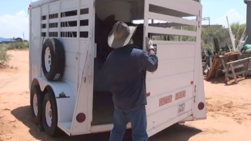 Livestock trailer