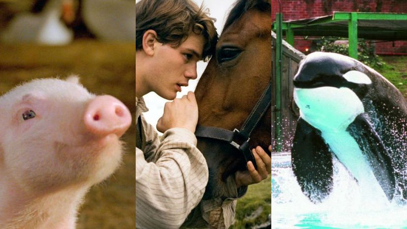 89% of People Aren't Able to Guess These Animal Movies from one image! Can You?