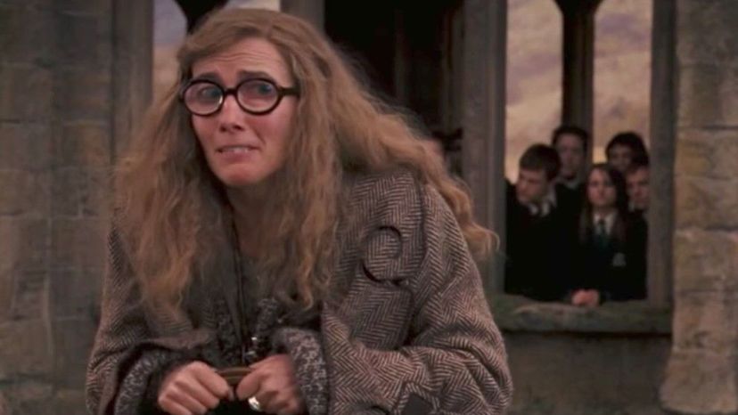 Professor Trelawney