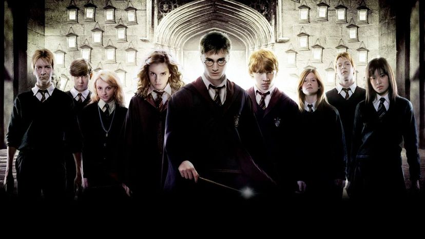 Spend a Day With Harry's Crew and We'll Tell You Which Harry Potter Character You Are