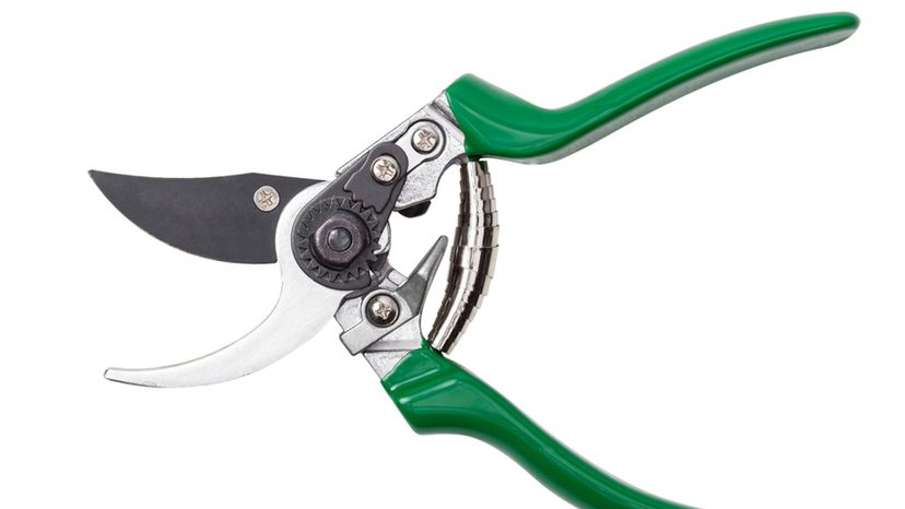 Secateurs