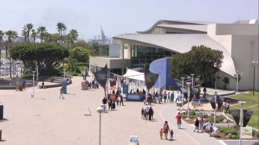 Aquarium of the Pacific