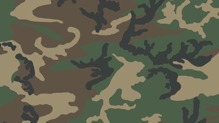 U.S. Woodland camouflage