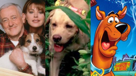 Which TV Dog Should Be Your Sidekick?