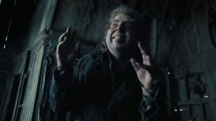 21 Peter Pettigrew