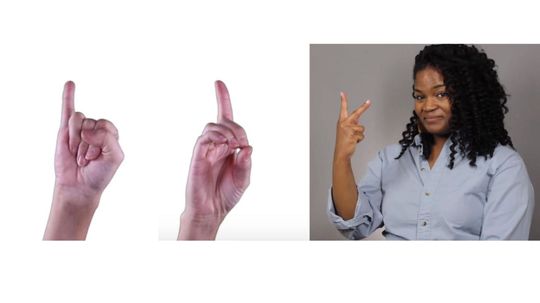 Can You Identify These Sign Language Letters and Words?