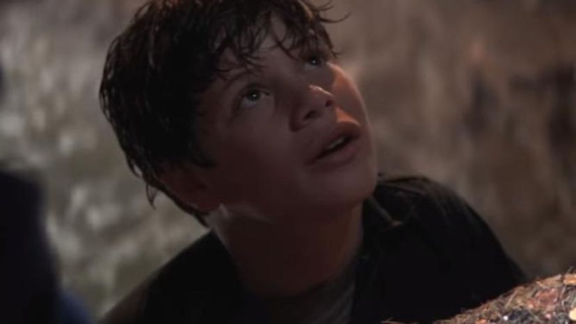 Sean Astin -- The Goonies