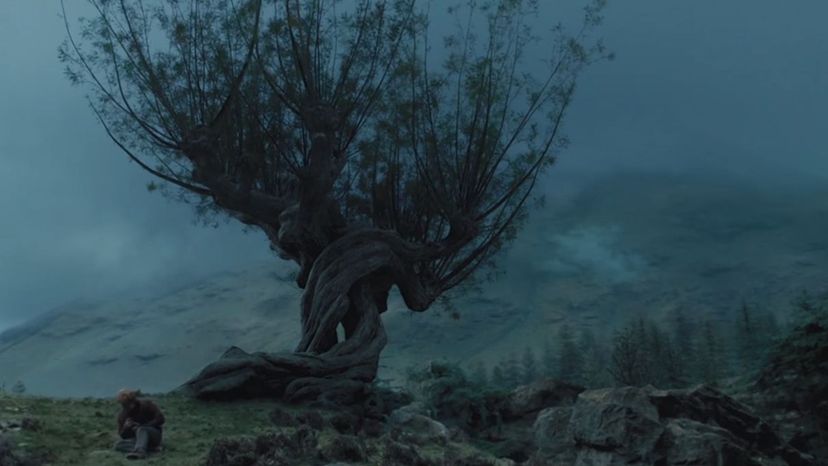 Whomping Willow