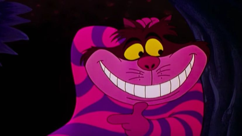 Cheshire Cat