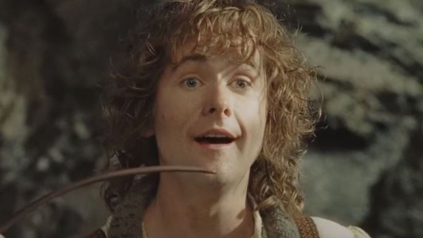 Peregrin Took