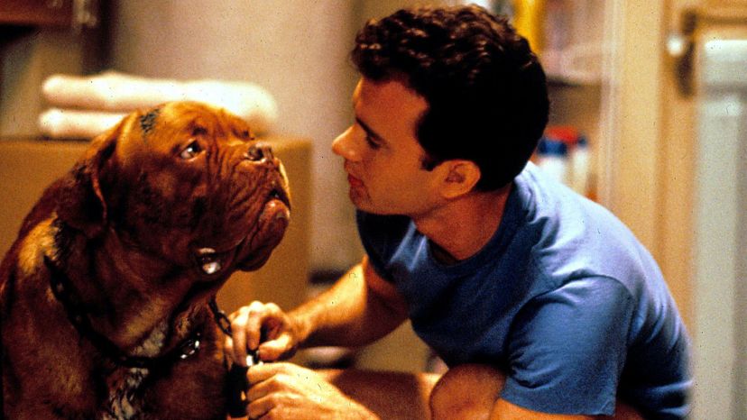 Turner and Hooch 1989