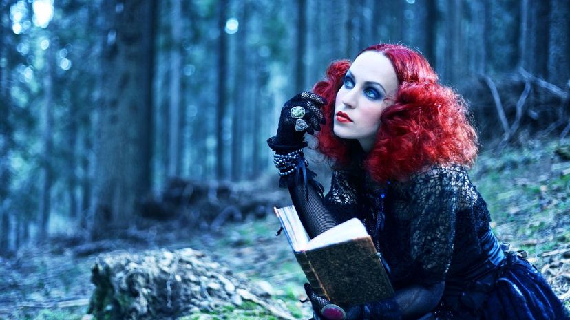 Witch in the forest reading book. Halloween theme