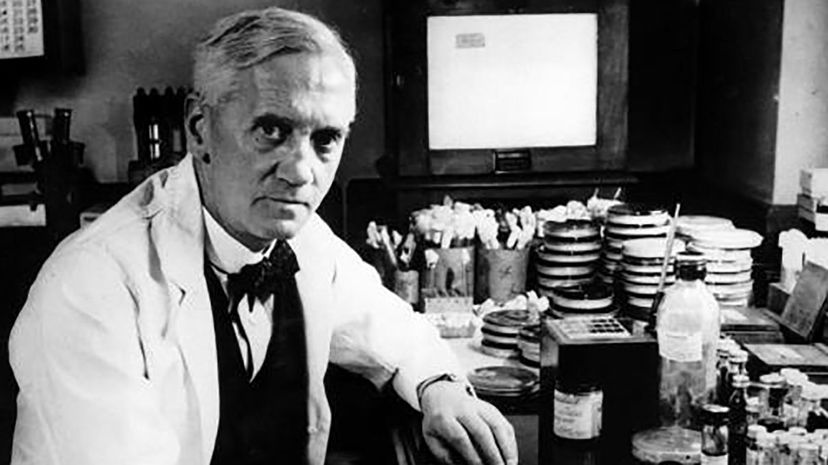 Question 29 - Alexander Fleming