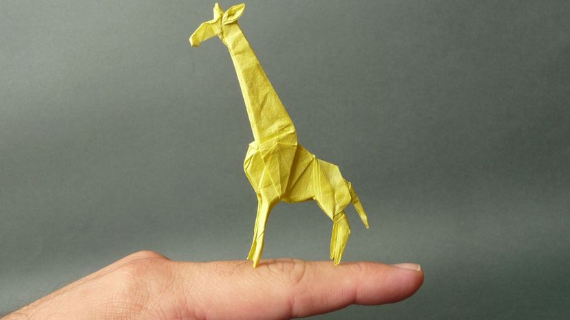 Can You Identify These Origami Animals?