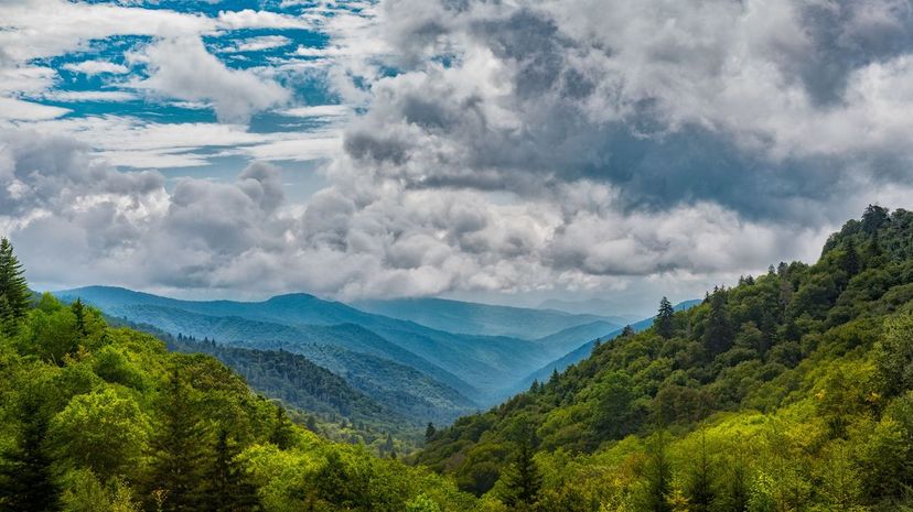 North Carolina