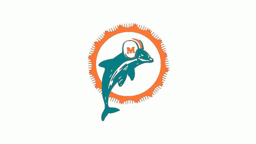 Miami Dolphins 66-73