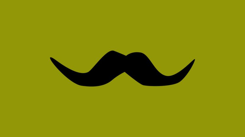 Can You Name the Style of These Movember Mustaches? | HowStuffWorks