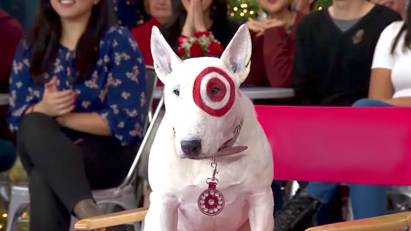 Bullseye Target Dog