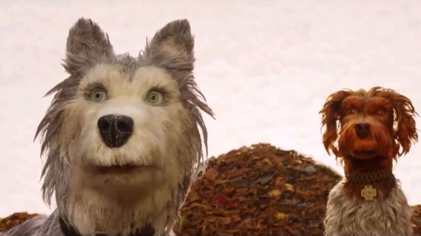 Isle of Dogs 2018 - Duke