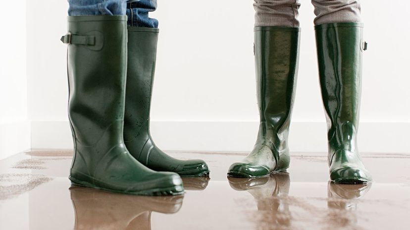 Wellington boots