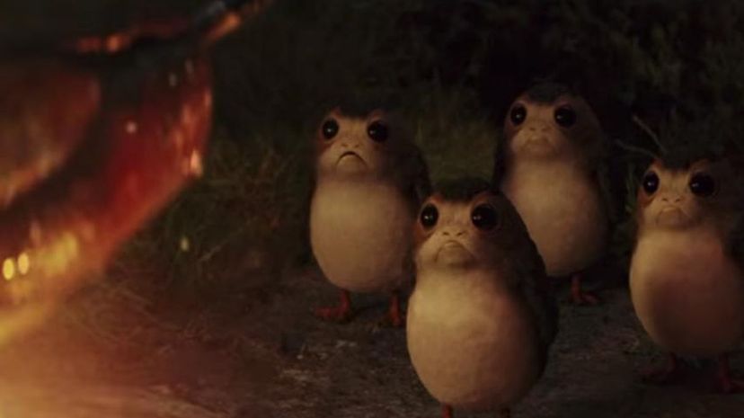 Porgs