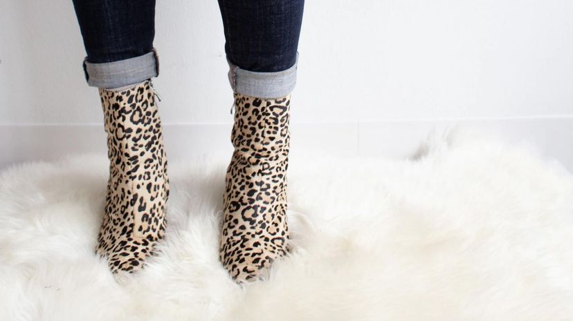 Leopard shoes