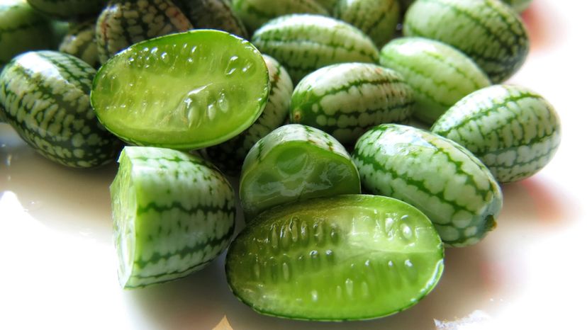 Cucamelon