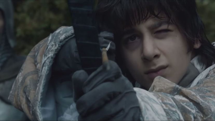 Robin Arryn