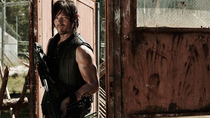 What percentage Daryl Dixon of the Walking Dead are you?