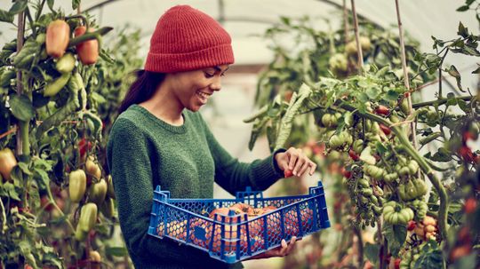 Can We Guess Your Intelligence Type Based on Your Food Preferences?