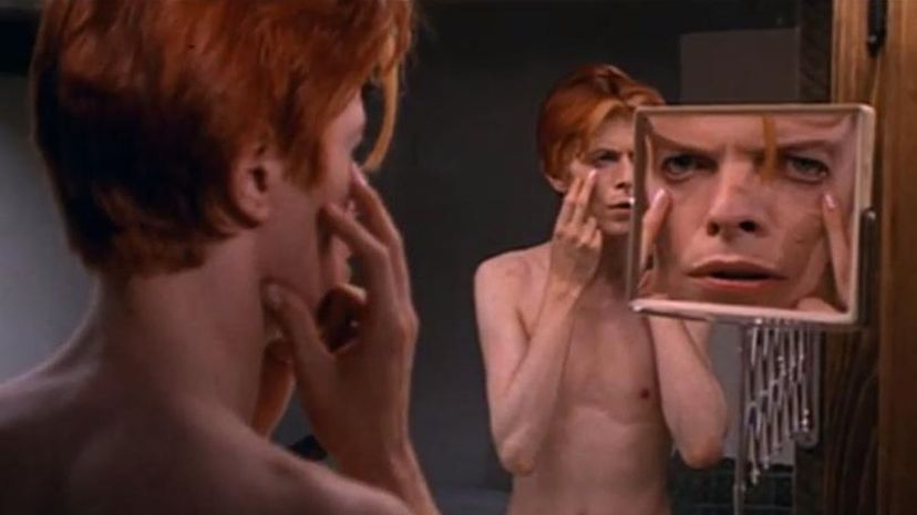 The Man Who Fell to Earth