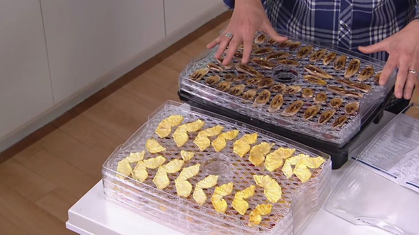 Food Dehydrator