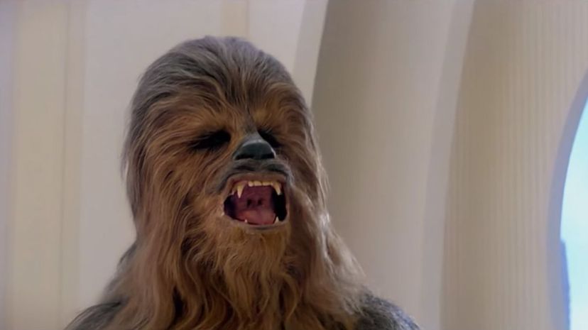 Chewbacca尖叫“border=